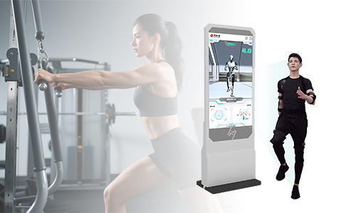 体适能测试仪