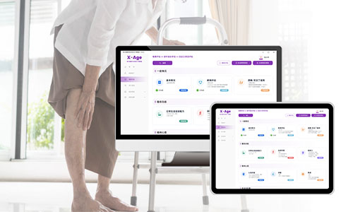 老年人综合能力评估系统