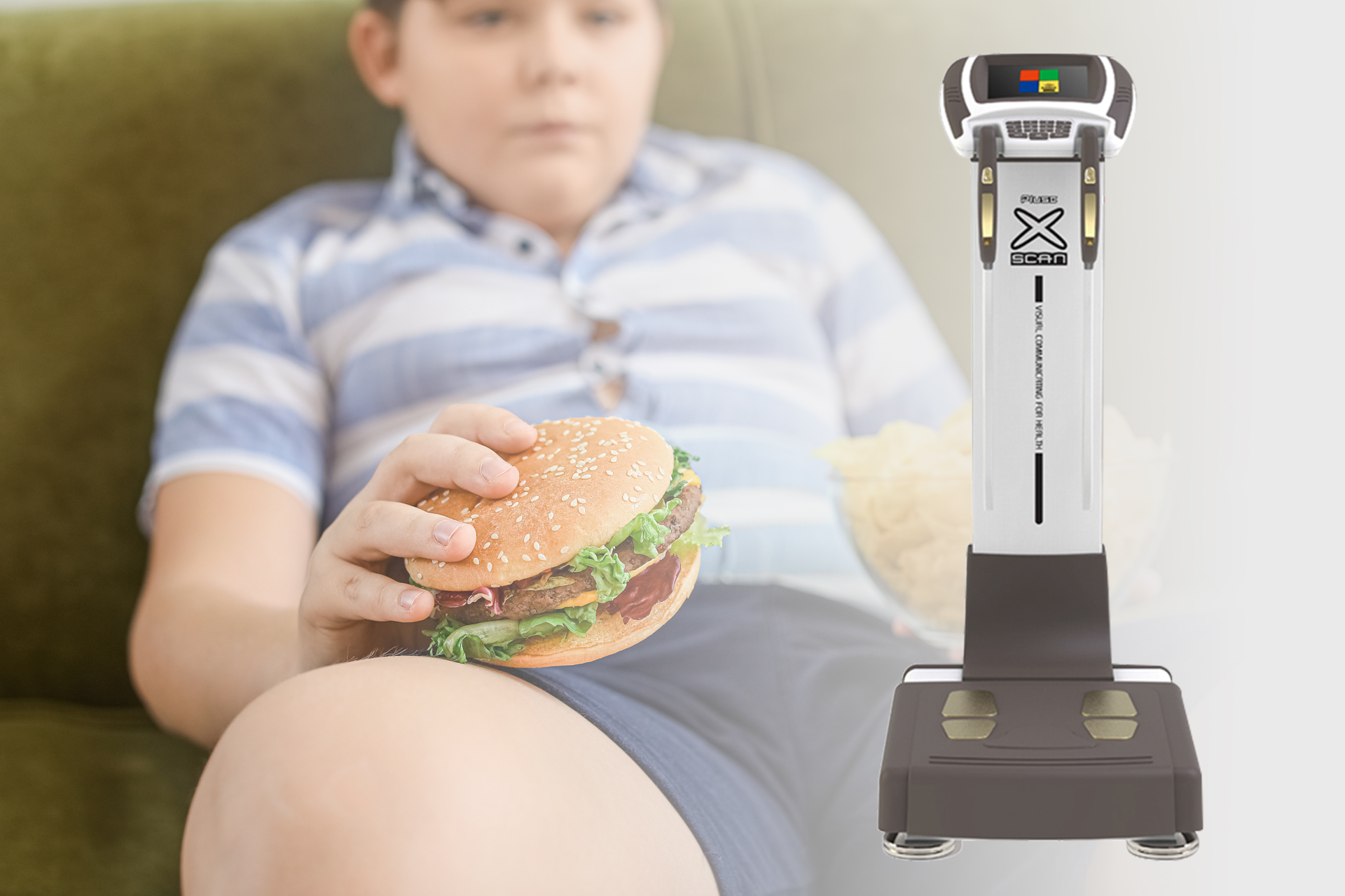 体成分分析系统